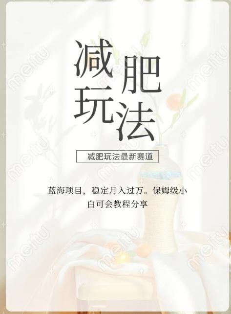 减肥流量主新玩法，轻松月入1W，可矩阵操作收入翻倍-创薯资源
