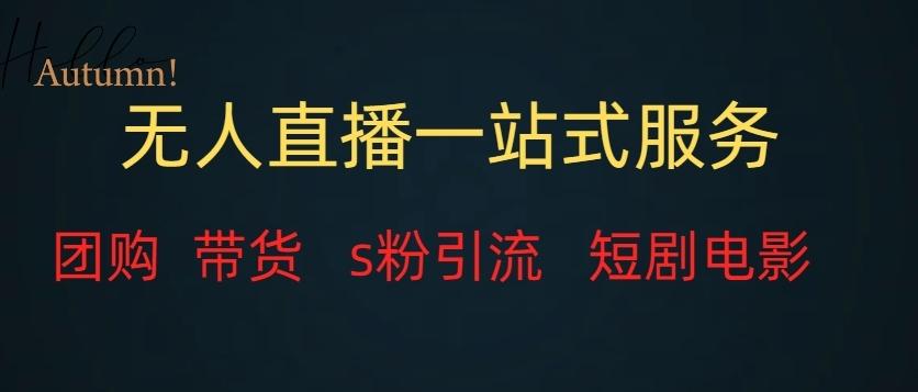无人直播一站式服务（教程以及变现方式）-创薯资源
