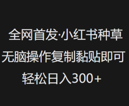全网首发，小红书种草无脑操作，复制黏贴即可，轻松日入3张-创薯资源