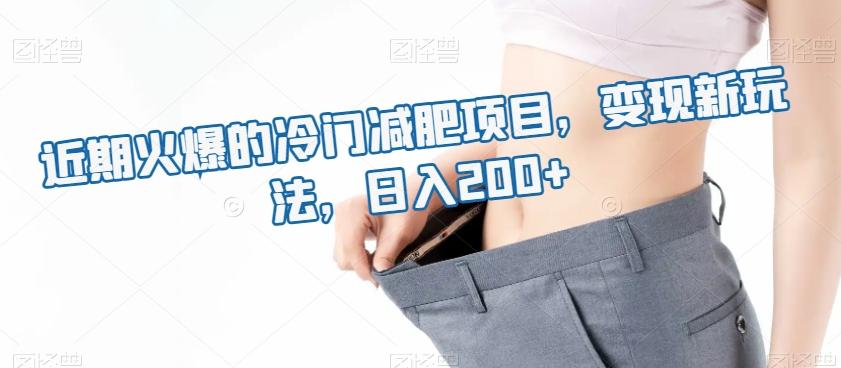近期火爆的冷门减肥项目，变现新玩法，日入200+-创薯资源