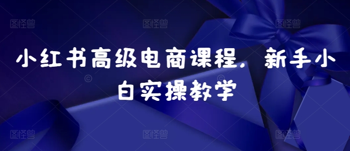 小红书高级电商课程，新手小白实操教学-创薯资源
