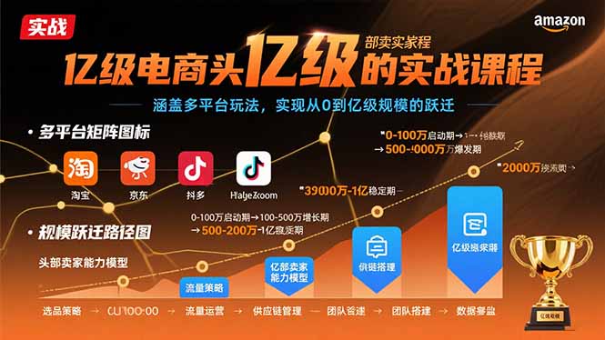 亿级电商头部卖家的实战课程：涵盖多平台玩法，实现从0到亿级规模的跃迁-创薯资源