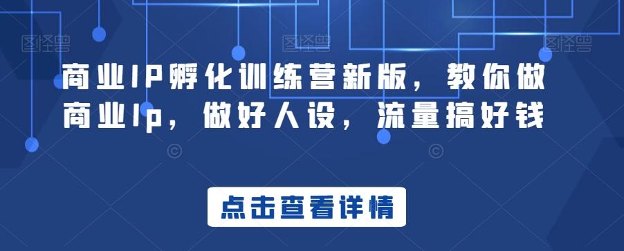 商业IP孵化训练营新版，教你做商业Ip，做好人设，流量搞好钱-创薯资源