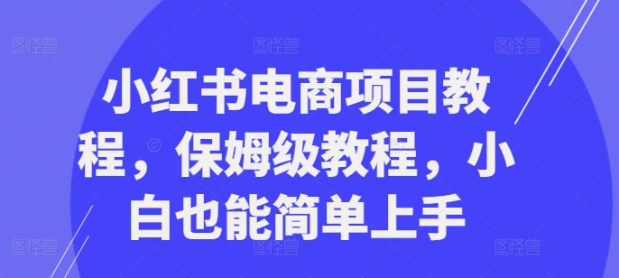 小红书电商项目教程，保姆级教程，小白也能简单上手-创薯资源