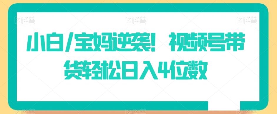 小白/宝妈逆袭！视频号带货轻松日入4位数【揭秘】-创薯资源