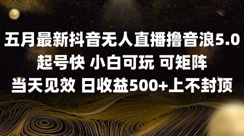 2025五月最新无人直播撸音浪单日产出5张+实操教程【揭秘】-创薯资源