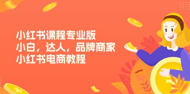 小红书课程专业版，小白，达人，品牌商家，小红书电商教程(15节-创薯资源