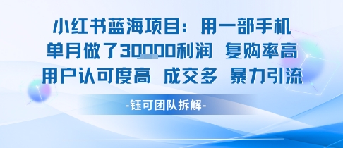 小红书蓝海项目，一部手机单月做了3W利润，小白也能月入过1W用户认可度高成交多-创薯资源