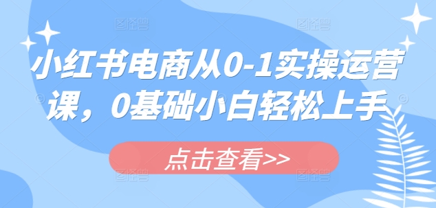 小红书电商从0-1实操运营课，0基础小白轻松上手-创薯资源