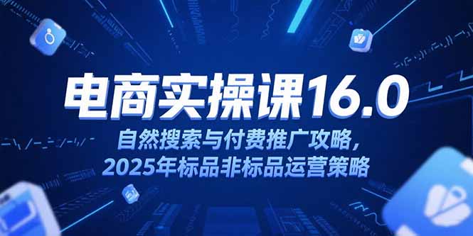 淘宝电商运营课16.0，自然搜索与付费推广攻略，2025年标品非标品运营策略-创薯资源
