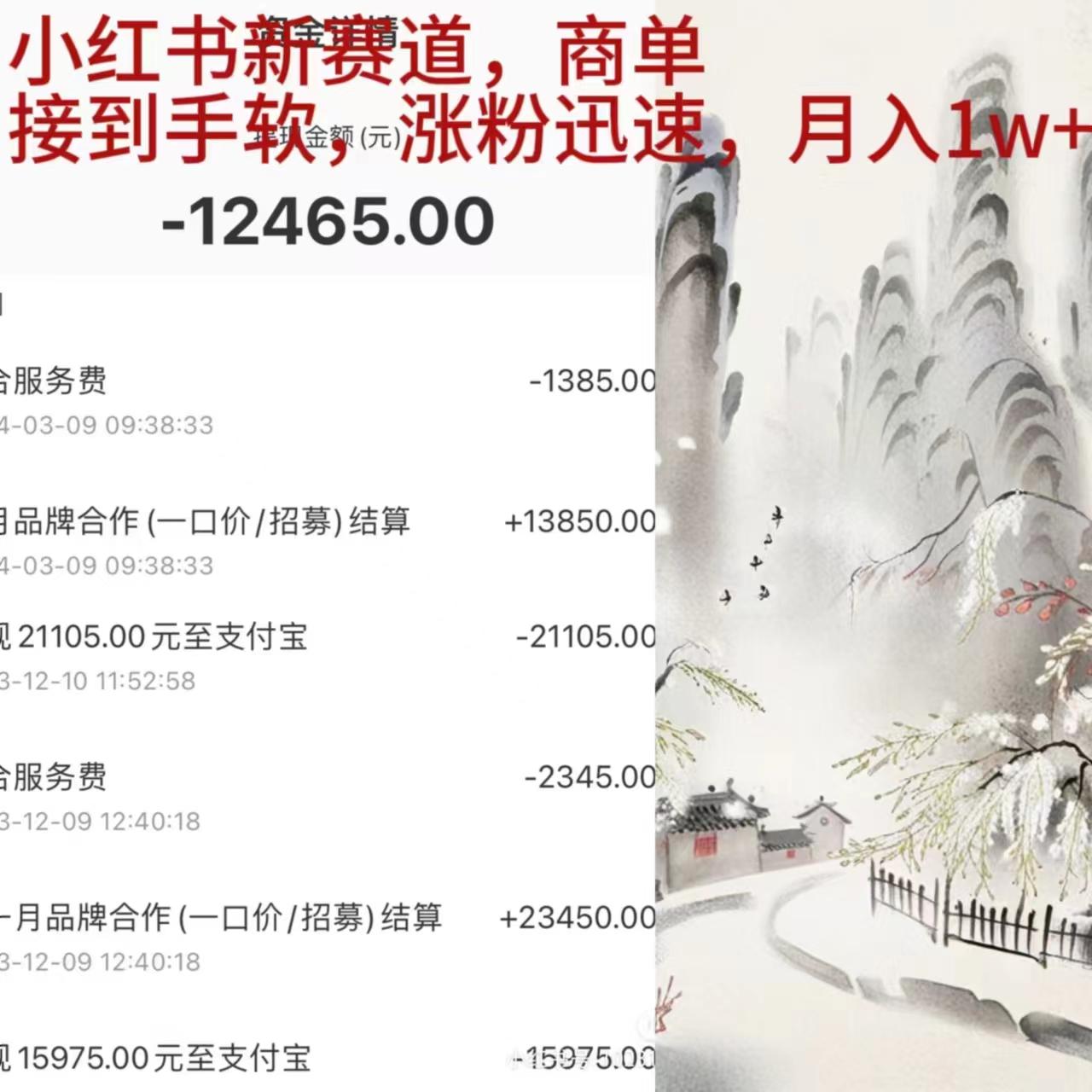 (9476期)小红书新赛道，商单接到手软，涨粉迅速，月入1w+-创薯资源