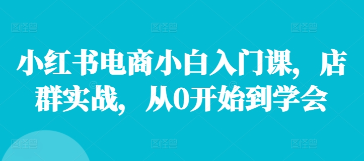 小红书电商小白入门课，店群实战，从0开始到学会-创薯资源