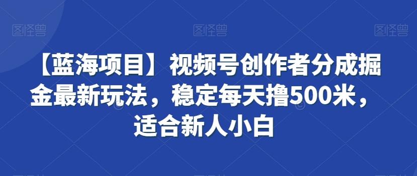 【蓝海项目】视频号创作者分成掘金最新玩法，稳定每天撸500米，适合新人小白【揭秘】-创薯资源