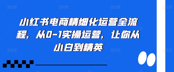 小红书电商精细化运营全流程，从0-1实操运营，让你从小白到精英-创薯资源