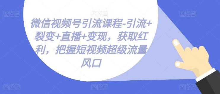 微信视频号引流课程-引流+裂变+直播+变现，获取红利，把握短视频超级流量风口-创薯资源