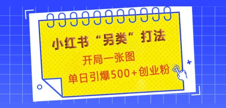 小红书“另类”打法，开局一张图，单日引爆500+精准创业粉【揭秘】-创薯资源