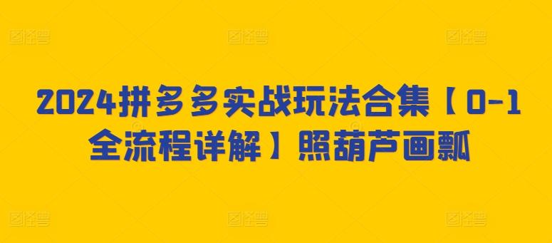 2024拼多多实战玩法合集【0-1全流程详解】照葫芦画瓢-创薯资源