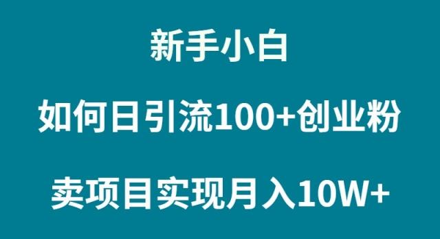 (9556期)新手小白如何通过卖项目实现月入10W+-创薯资源