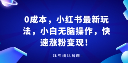0成本，小红书最新玩法，小白无脑操作，快速涨粉变现-创薯资源