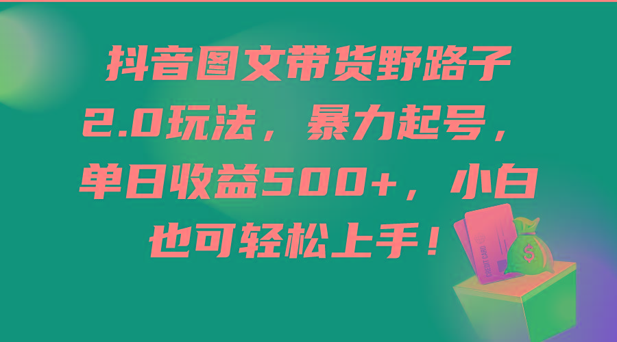 (9790期)抖音图文带货野路子2.0玩法，暴力起号，单日收益500+，小白也可轻松上手！-创薯资源