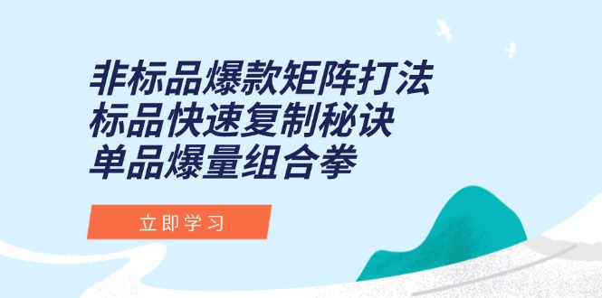 非标品爆款矩阵打法，标品快速复制秘诀，单品爆量组合拳-创薯资源
