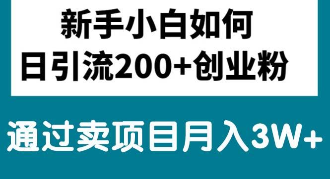 新手小白日引流200+创业粉,通过卖项目月入3W+-创薯资源