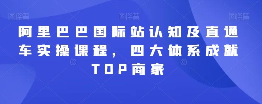 阿里巴巴国际站认知及直通车实操课程，四大体系成就TOP商家-创薯资源