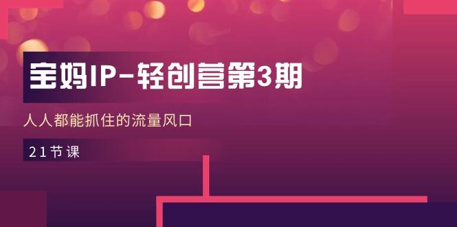 宝妈IP-轻创营第3期，人人都能抓住的流量风口(21节课-创薯资源