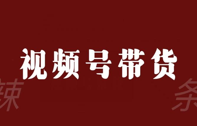 视频号带货联盟，赚信息差的带货钱，只需手机随时随地都可以做！-创薯资源