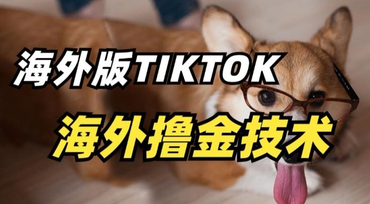 抖音海外版tiktok撸金技术，这个风口行业，赚钱真的不难【揭秘】-创薯资源