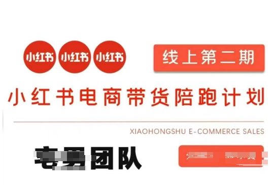 小红书电商带货课2期，月利润20个的小红书电商的有货源，无货源，虚拟产品，付费投流等整套玩法-创薯资源