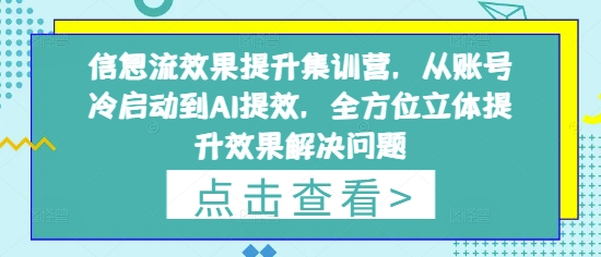 信息流效果提升集训营，从账号冷启动到AI提效，全方位立体提升效果解决问题-创薯资源
