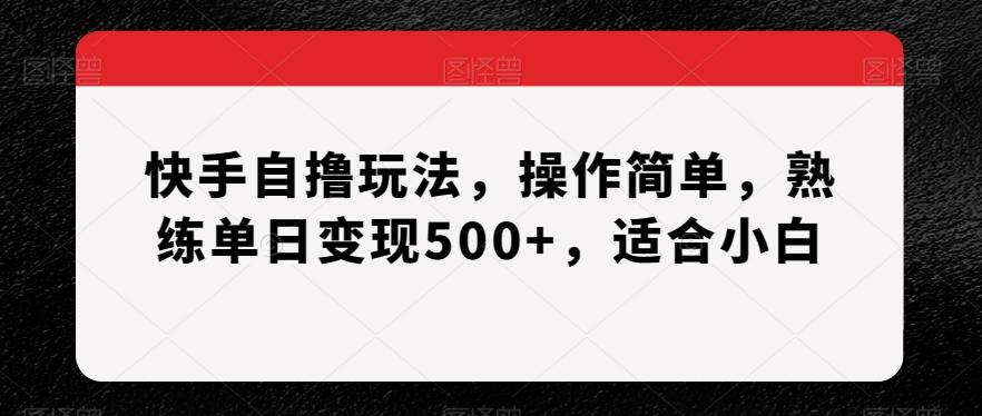 快手自撸玩法，操作简单，熟练单日变现500+，适合小白【揭秘】-创薯资源