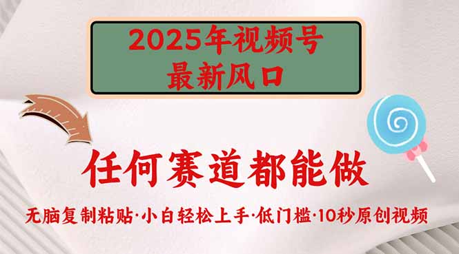 2025年视频号新风口，低门槛只需要无脑执行-创薯资源
