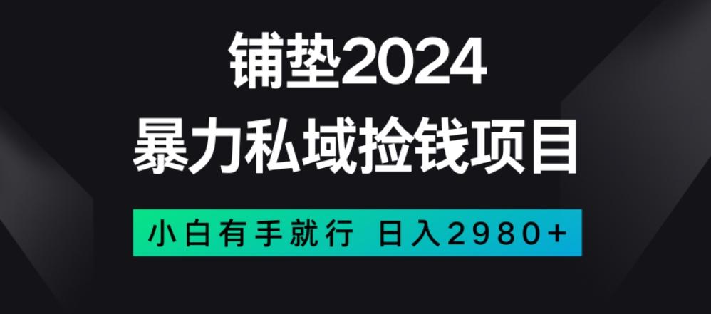 暴力私域捡钱项目，小白无脑操作，日入2980【揭秘】-创薯资源