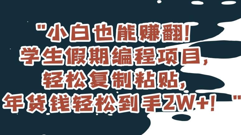 小白也能赚翻！学生假期编程项目，轻松复制粘贴，年货钱轻松到手2W+【揭秘】-创薯资源