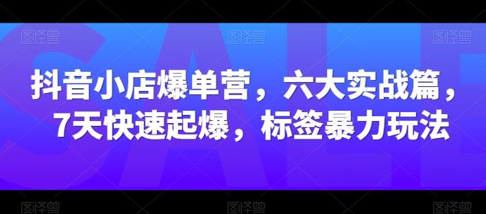 抖音小店爆单营，六大实战篇，7天快速起爆，标签暴力玩法-创薯资源