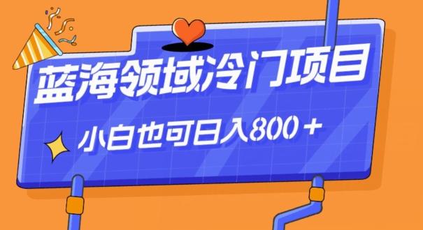 蓝海领域冷门赛道，一单39.9，日入800＋-创薯资源