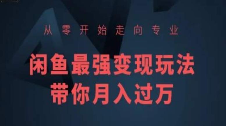 从零开始走向专业，闲鱼最强变现玩法带你月入过万-创薯资源