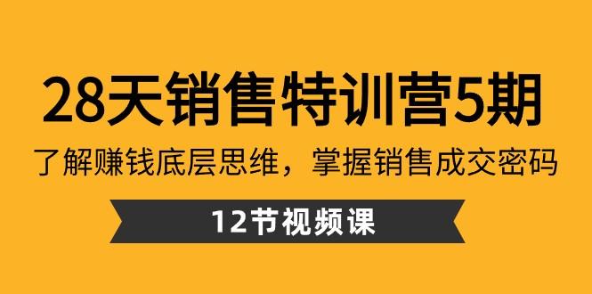 28天销售特训营5期：了解赚钱底层思维，掌握销售成交密码（12节课）-创薯资源