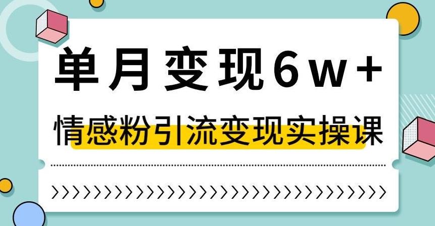 单月变现6W+，抖音情感粉引流变现实操课，小白可做，轻松上手，独家赛道【揭秘】-创薯资源