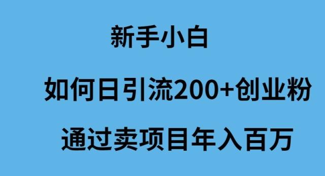 (9668期)新手小白如何日引流200+创业粉通过卖项目年入百万-创薯资源