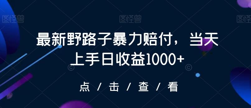 最新野路子暴力赔付，当天上手日收益1000+【仅揭秘】-创薯资源