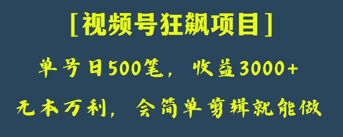 日收款500笔，纯利润3000+，视频号狂飙项目，会简单剪辑就能做【揭秘】-创薯资源