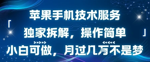 苹果手机技术服务，独家拆解，操作简单，小白可做，月过1W不是梦-创薯资源