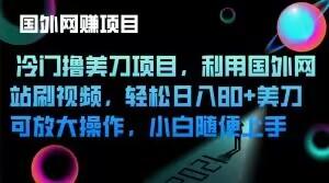 冷门撸美刀项目，利用国外网站刷视频，轻松日入80+美刀，可放大操作，小白随便上手-创薯资源