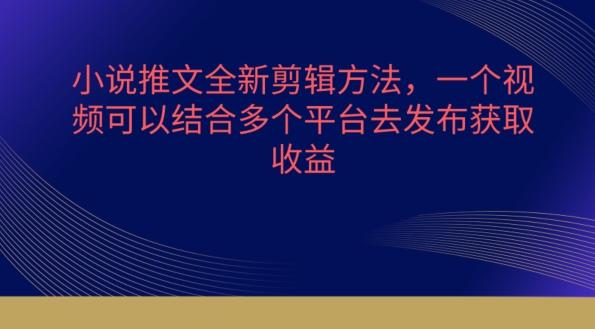 小说推文全新剪辑方法，一个视频可以结合多个平台去发布获取【揭秘】-创薯资源