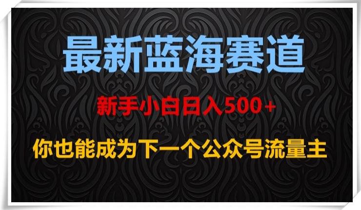 最新蓝海赛道，新手小白日入500+，你也能成为下一个公众号流量主【揭秘】-创薯资源