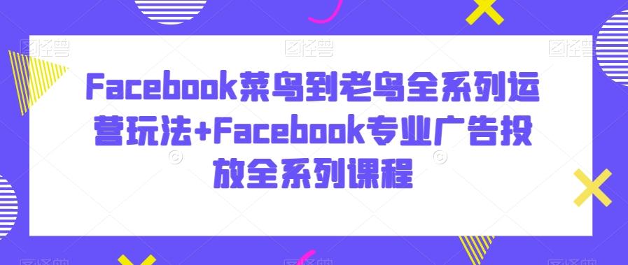 Facebook菜鸟到老鸟全系列运营玩法+Facebook专业广告投放全系列课程-创薯资源