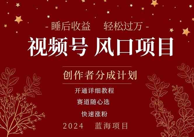 拥有睡眠收益的微信视频号大风口项目，轻松月入过万+，多赛道选择，可…-创薯资源